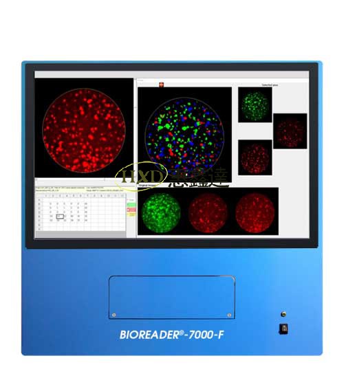 酶联免疫斑点分析仪-德国bioreader-惠鑫达(深圳)科技有限公司-生命