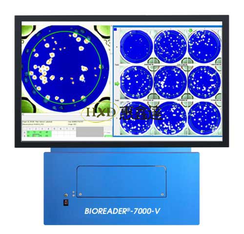 多功能酶联免疫斑点Elispot检测分析仪bioreader 7000V